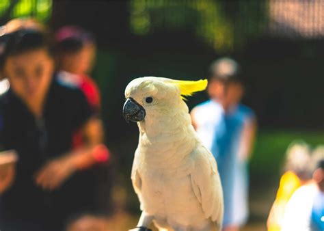 Wilderness Trails Zoo | Michigan's #1 Up Close and Personal Zoo