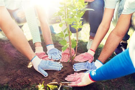 volunteering   community   means   matters