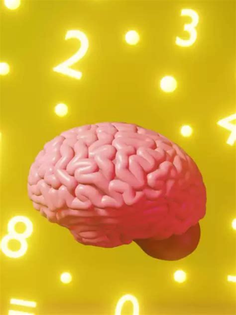 easy  smart tricks  boost memory  learning ncert books