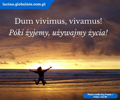 Sentencje łacińskie o życiu. Dum vivimus, vivamus. Póki żyjemy ...