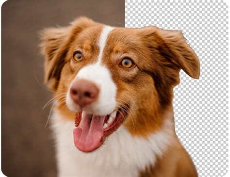 how to find transparent images