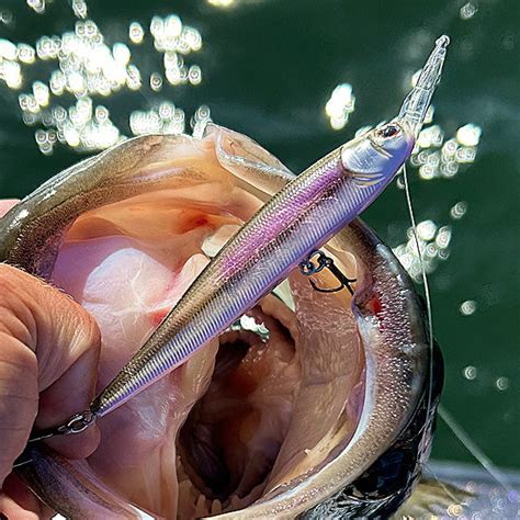 Is the Blue Casting Rod the Secret Weapon for Your Next Big Catch?
