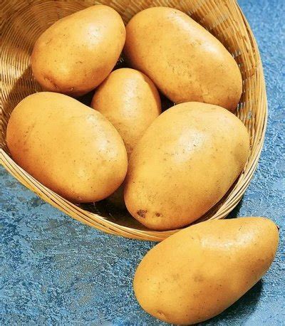 Семенной Картофель "Зекура", 3кг - 🥔Предзаказ! Семенной Картофель ...