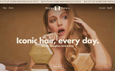 Blake Brown - website design