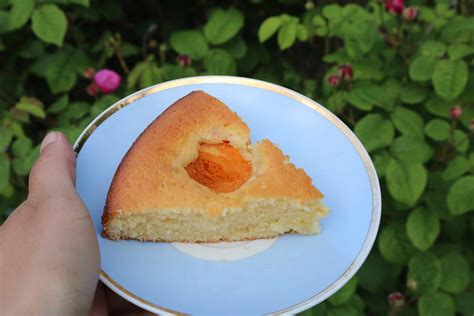 apricot cake 7