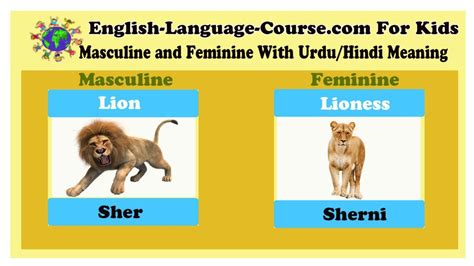 Mammals Animals Meaning In Hindi - Pets Lovers