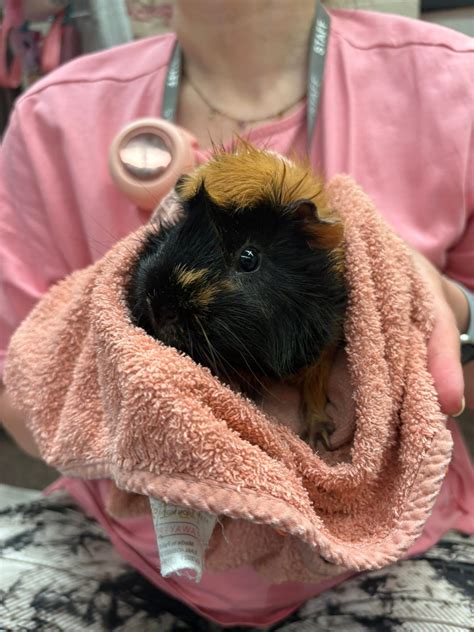 Willow Tree Nursery &... - Willow Tree Nursery & Pre-School