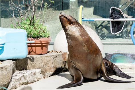 ZOO Ljubljana s tridnevnim dogajanjem poudarja pomembno vlogo