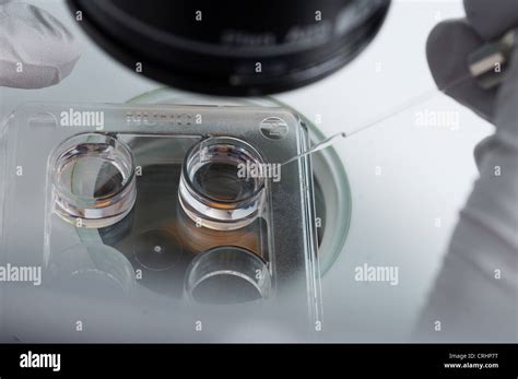 microscope fertility clinic egg fertilization Stock Photo - Alamy