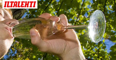 Humaltumisen 5 vaihetta ja niiden vaikutus aivoihin