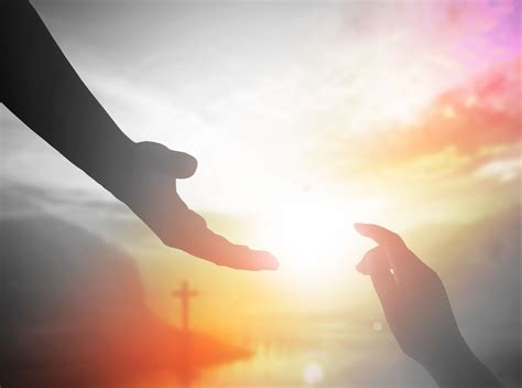 savings accounts lutheran fcu