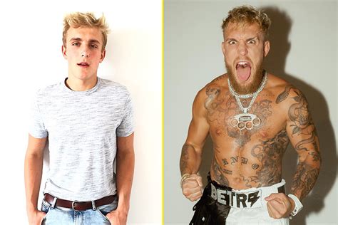Jake Paul Shape 2024 Fight - Inger Gwendolen