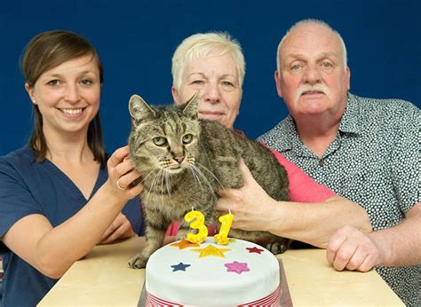 World’s Oldest Cat Is 31 And Still Has Many Lives Left | Bored Panda