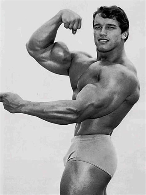 Arnold Schwarzenegger Bodybuilding Wallpaper - Arnold Schwarzenegger ...