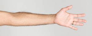 arms length principle essence  transfer pricing