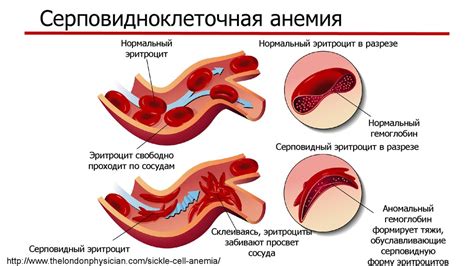Биохимия. Микробиология. Генетика - презентация онлайн