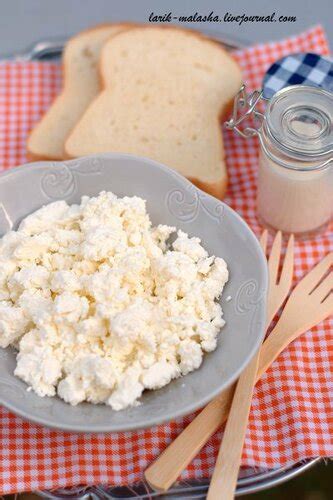 Французские продукты: чего мне не хватает? Творог во Франции и сырники ...