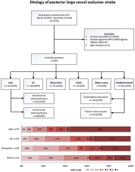 Etiology of Large Vessel Occlusion Posterior Circulation Stroke