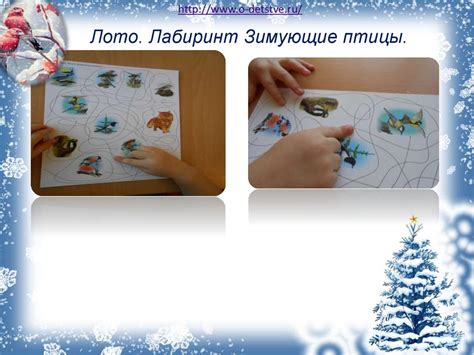 Проект «Зимующие птицы» - презентация онлайн