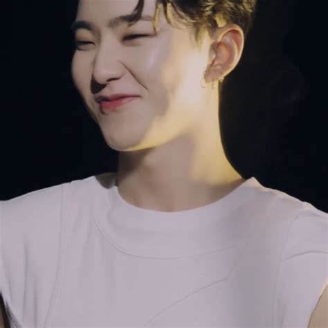 pin  cat carat  hoshi hoshi hoshi seventeen seventeen album