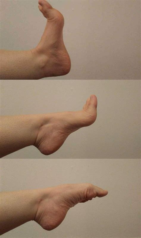 How To Point Your Toes With Flat Feet at Wilfred Mccarty blog