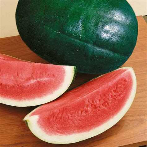 Watermelon Seeds - Triple Baby F1 - Aasgardens