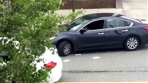 littering   dick  making shitty  turns youtube