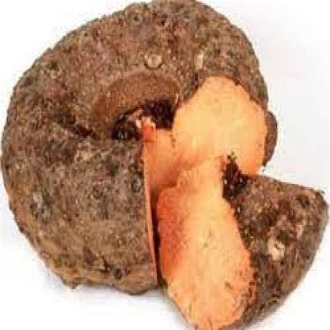 Yam(OOL) || Purnea Online Service