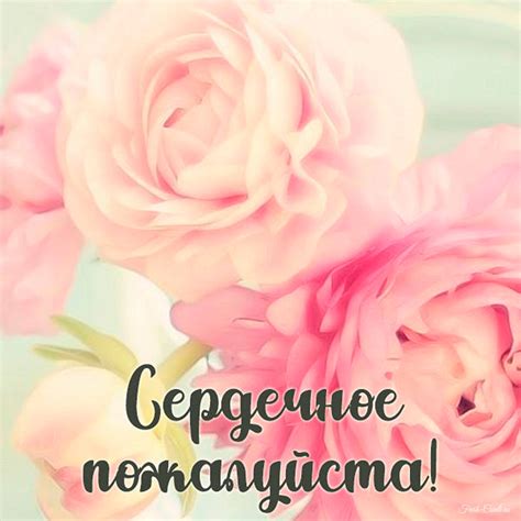 Открытки со словом пожалуйста