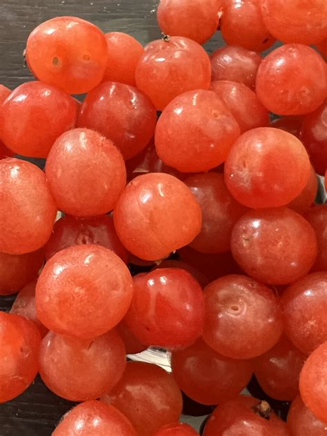 Nanking Cherries - fresh fruit - Buy Online | Foraged