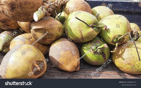 Coconut Water Contains Potassium Sodium Electrolytes Stock Photo