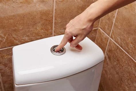 How To Make A Toilet Flush When There Is No Water - Printable Templates