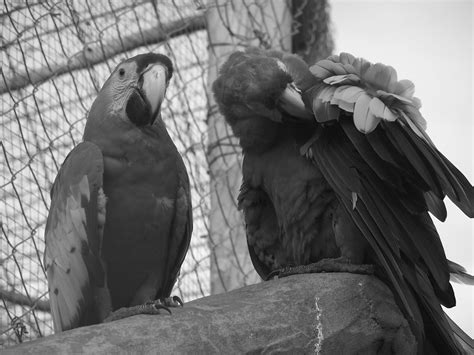 Print Photos | View Full-Size Image