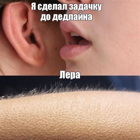 Мем: "Я сделал задачку до дедлайна Лера" - Все шаблоны - Meme-arsenal.com