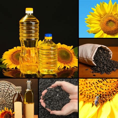 Goodness in Cooking with Sunflower oil – SunRight