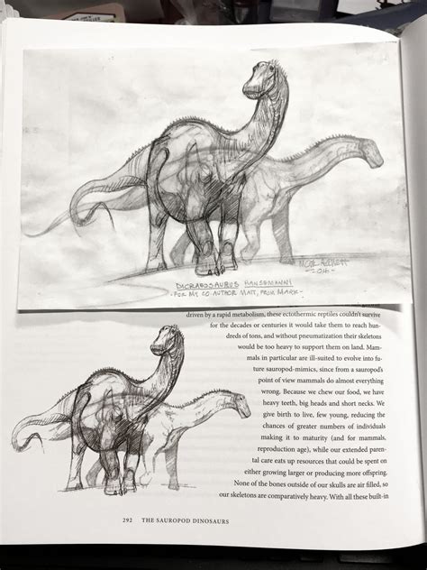 Dinosaur Drawing Book at PaintingValley.com | Explore collection of ...