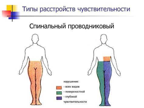Чувствительность и боль. Виды чувствительности - презентация онлайн