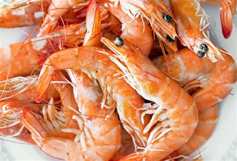 Does Chitosan Benefit the Kidneys and Are There Side Effects?