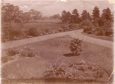 beneath  feet  grounds  bundoora darebin arts