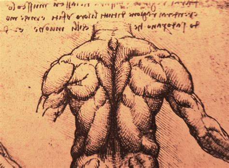 strong design  nerdygeekyart  deviantart