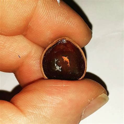 Миниатюрни рисунки върху всевъзможни предмети | highviewart.com