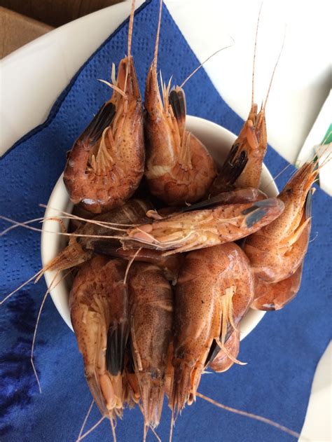 Unesco intangible cultural heritage: horse-riding shrimp fishermen of