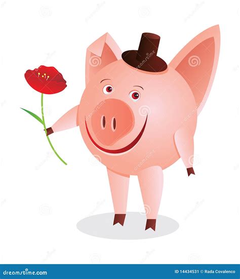 Piggy with flower stock vector. Illustration of small - 14434531