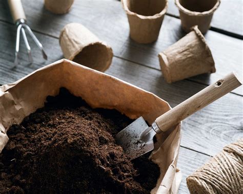 What is peat-free compost and why should I buy it? Our guide explains all | Gardeningetc