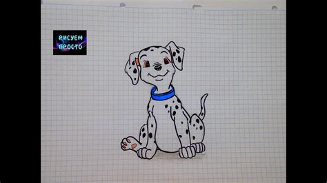 Как нарисовать СОБАКУ ДОЛМАТИНЦА/214/How to draw a DOG, a Dalmatian dog ...