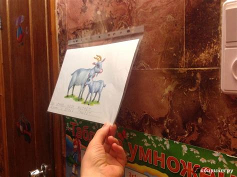 Книга: Дидактический материал "Познаём окружающий мир". "Домашние ...