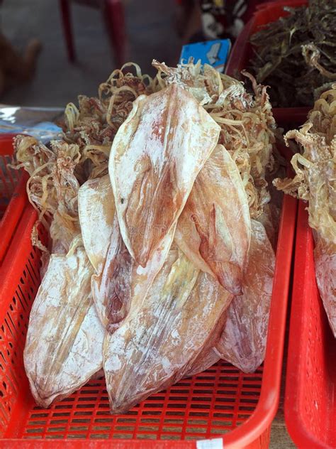 Dry squid stock photo. Image of diet, dining, protein - 53038830