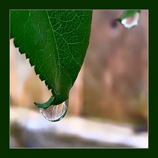 just a drop | 2020-222 HMM | Timothy Valentine | Flickr