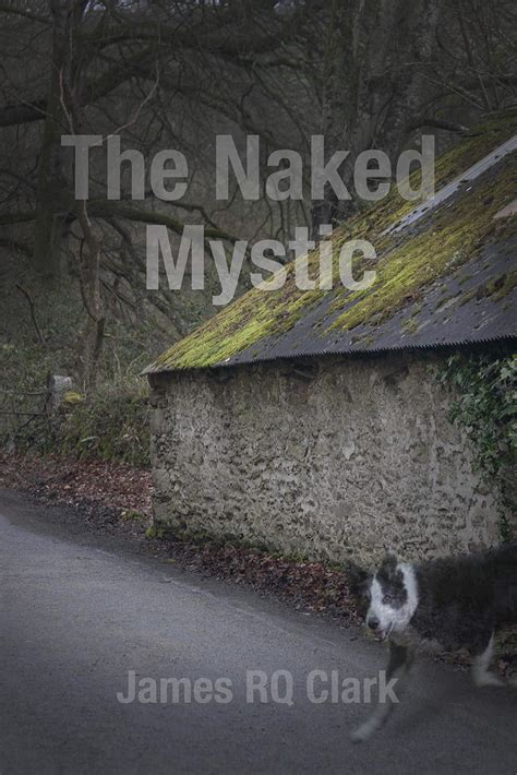 The Naked Mystic by James R.Q. Clark | Goodreads