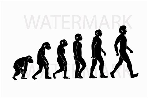 Evolution Drawing at PaintingValley.com | Explore collection of ...